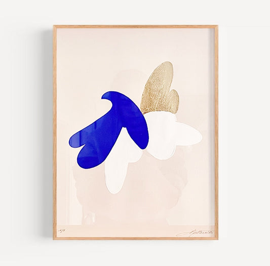 Le lâcher de colombes 10